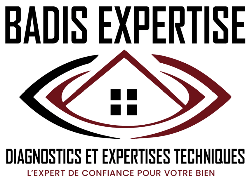 BADIS EXPERTISE
