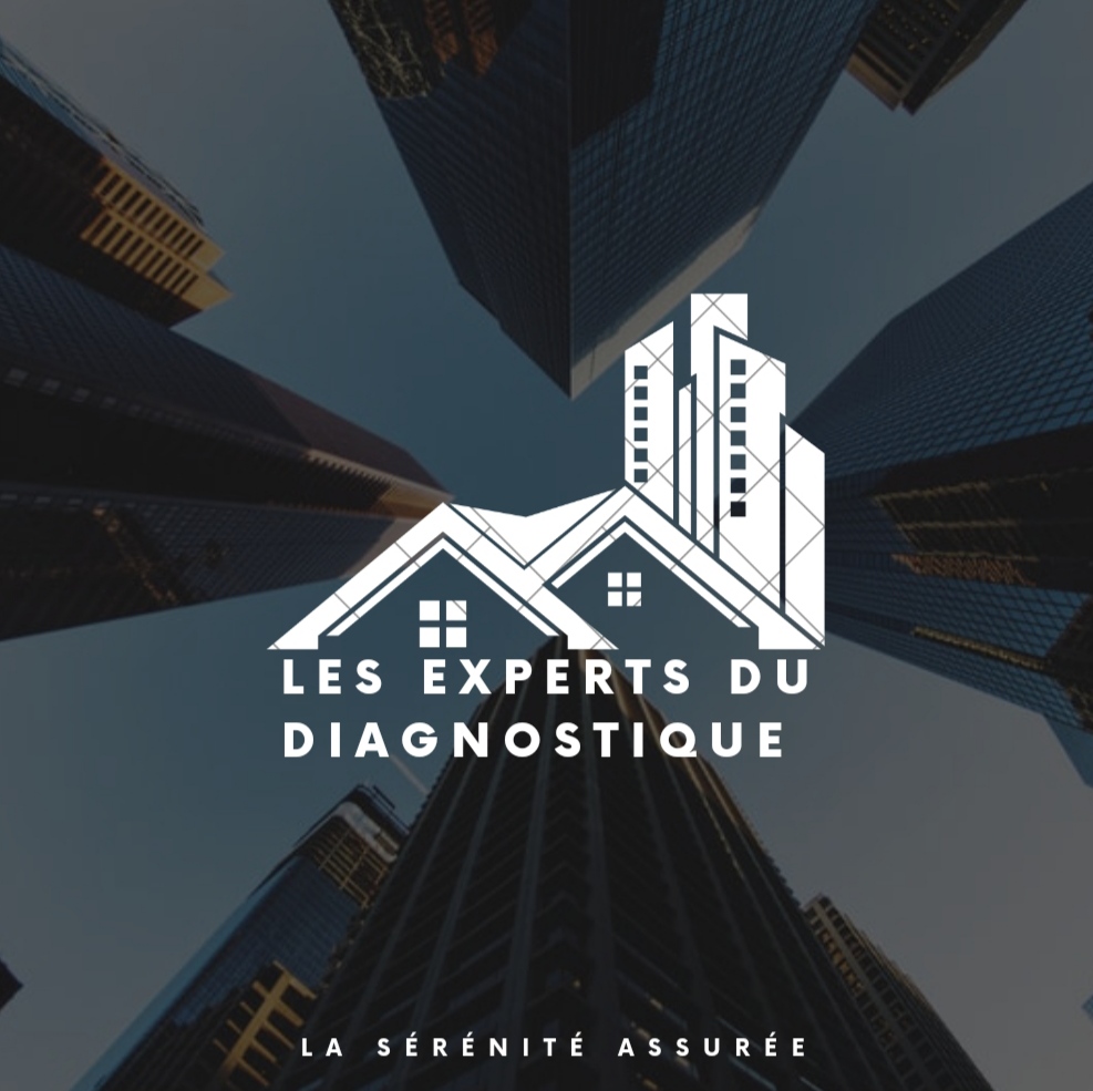 LES EXPERTS DU DIAGNOSTIQUE