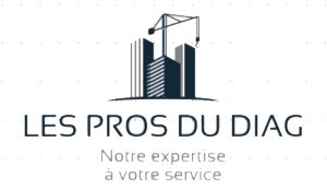 Les Pros du Diag