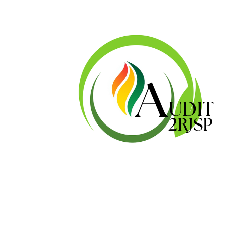 Audit 2RJSP